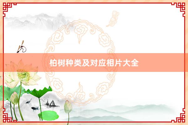 柏树种类及对应相片大全