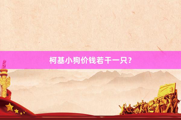 柯基小狗价钱若干一只？