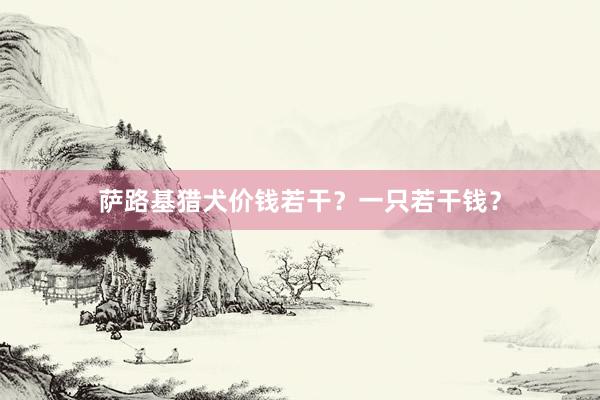 萨路基猎犬价钱若干?一只若干钱?